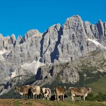 Dolomiti - Camping Serenissima Venezia