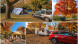 Collage